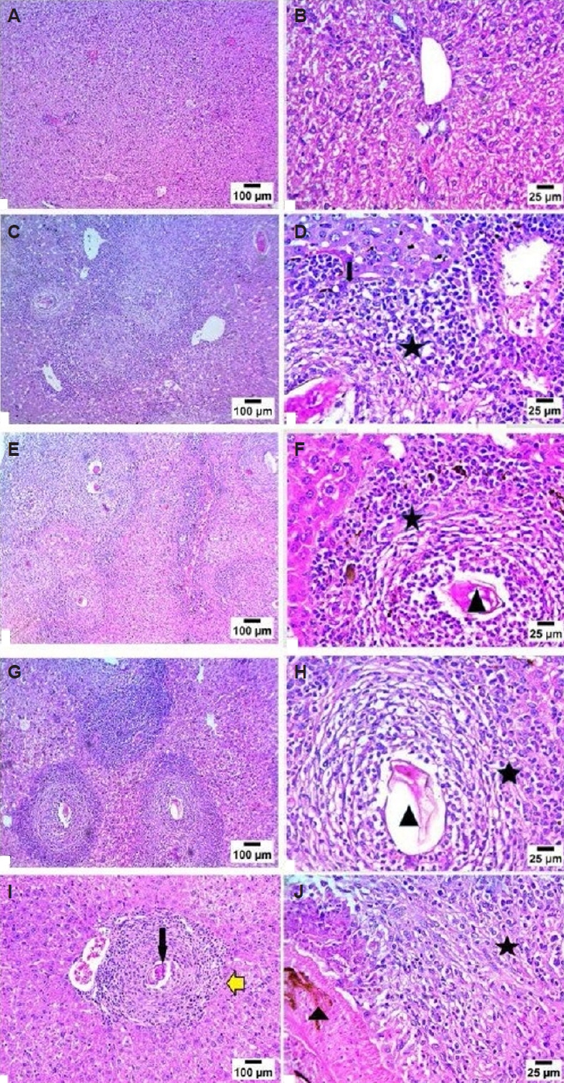 PHD-26003f6.jpg