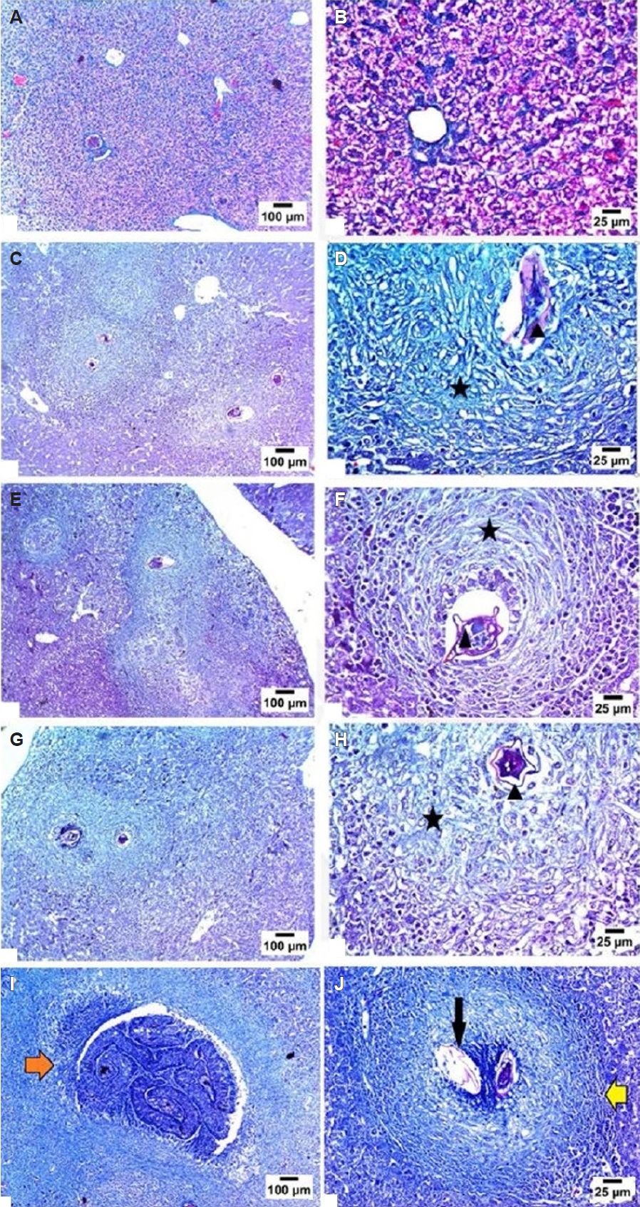 PHD-26003f7.jpg