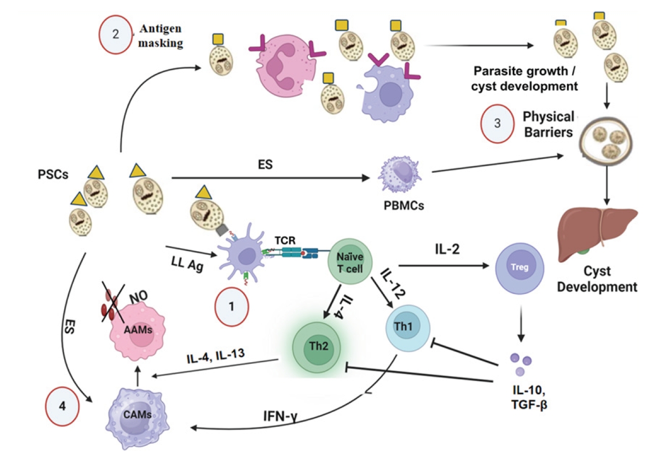 PHD-26012f3.jpg