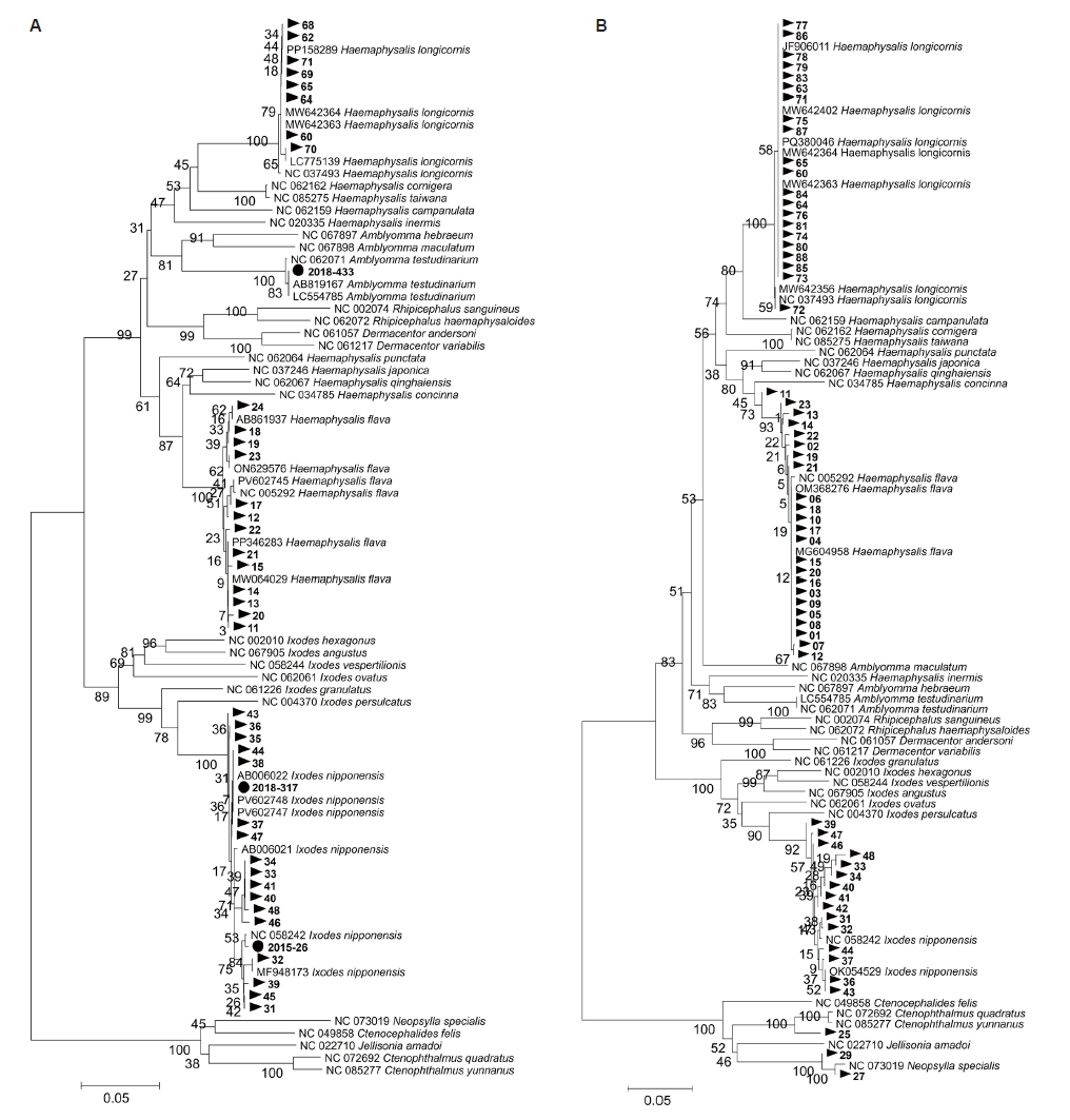 PHD-26014f2.jpg