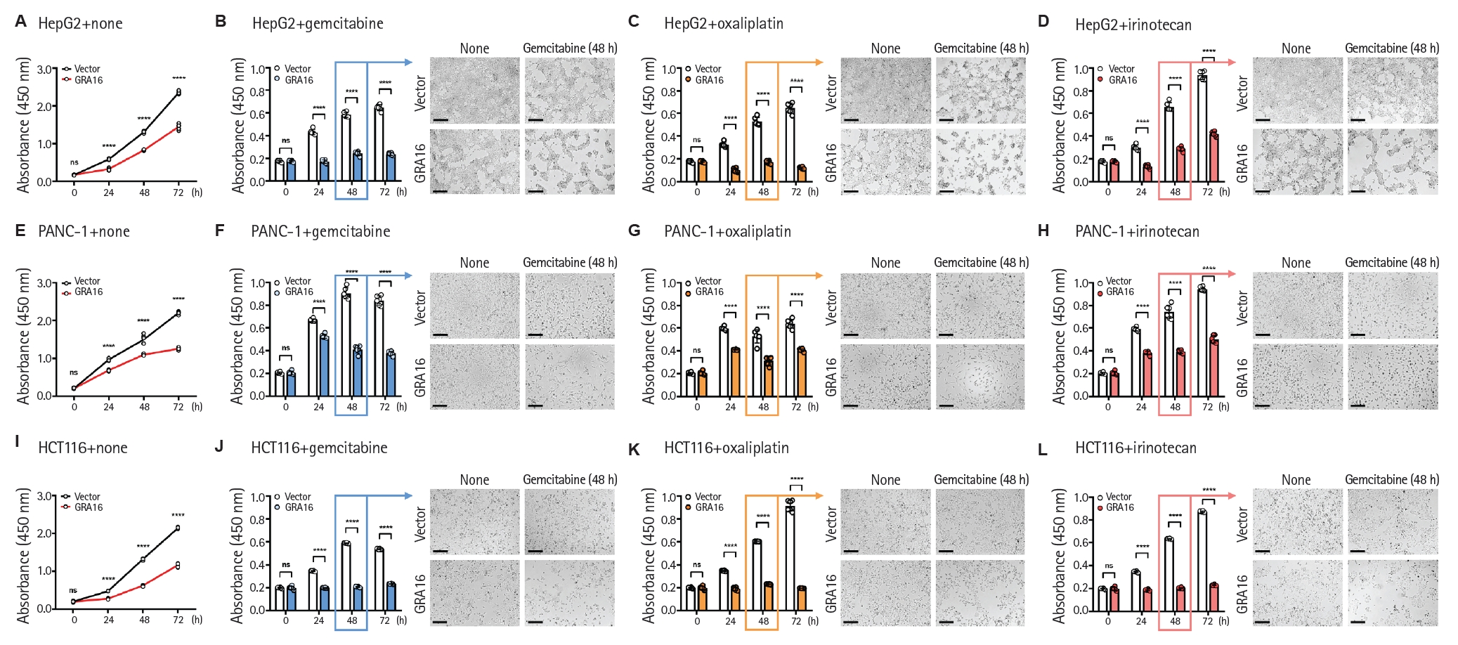 PHD-26019f2.jpg