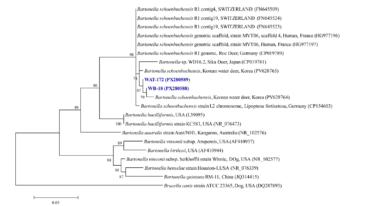 PHD-26028f3.jpg