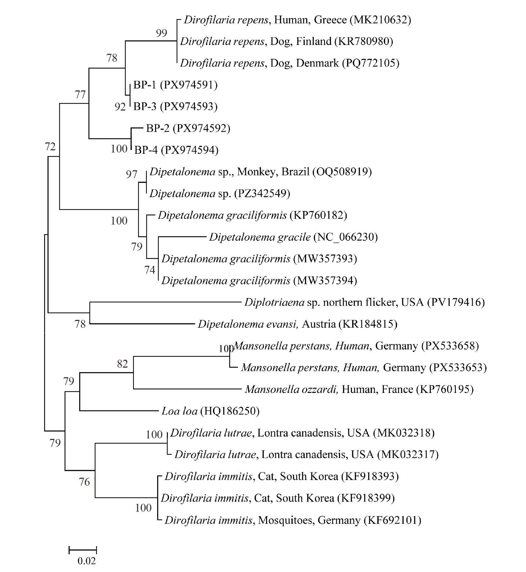PHD-26030f4.jpg