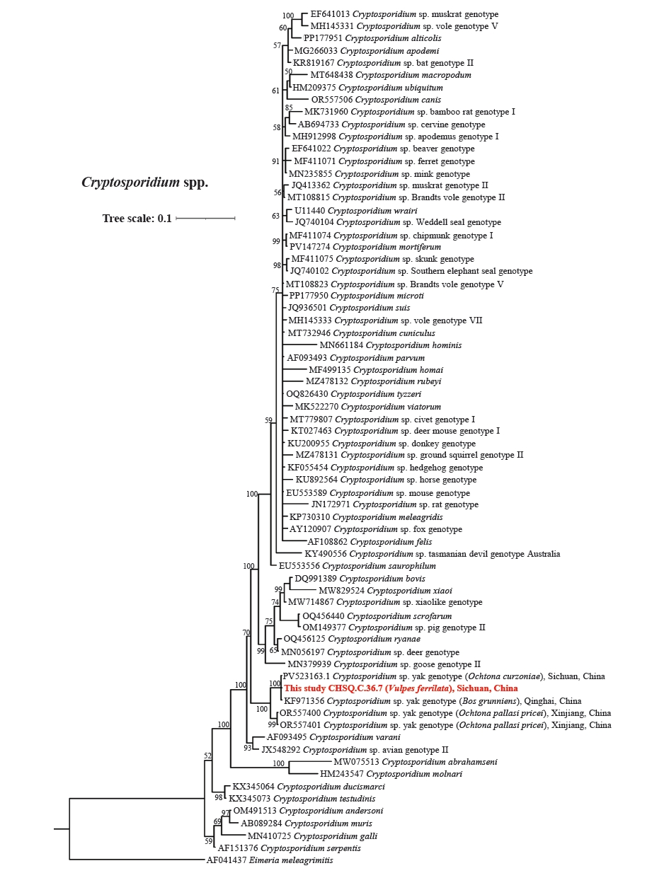 PHD-26037f2.jpg