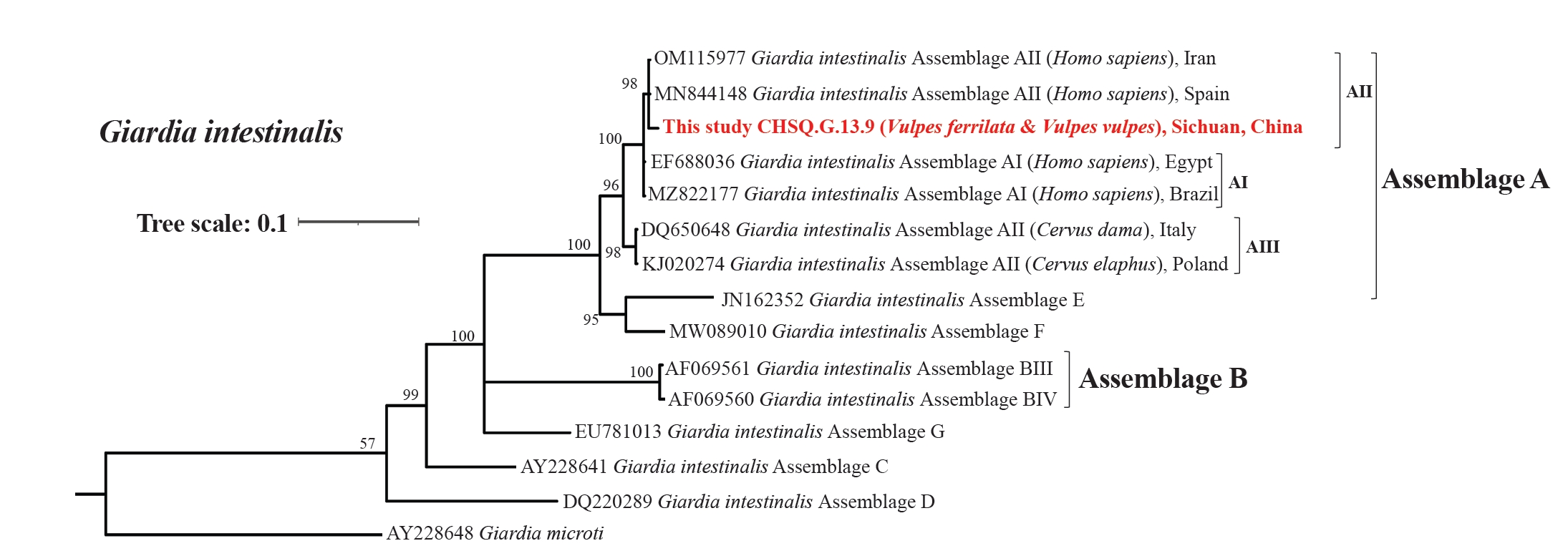 PHD-26037f3.jpg