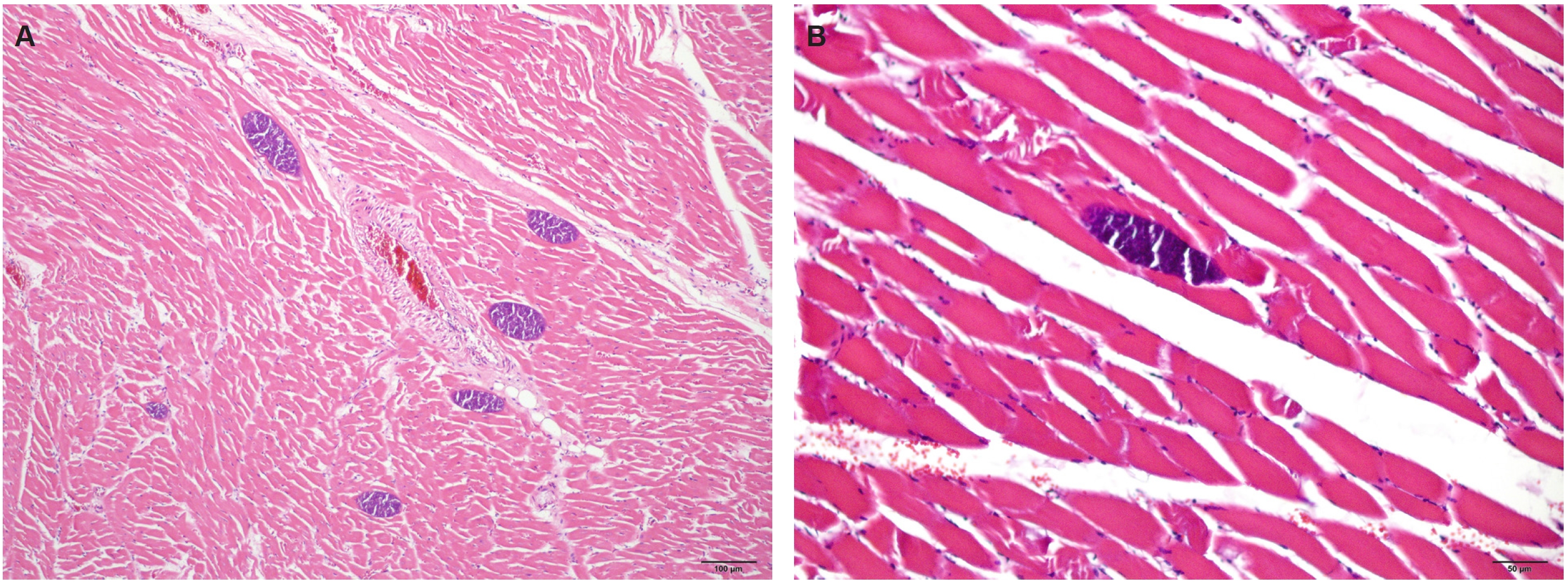 PHD-26041f1.jpg