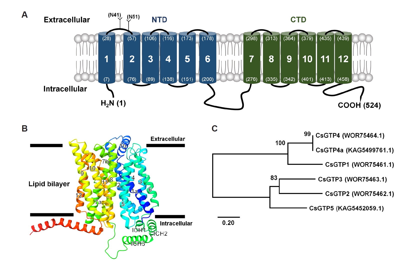 PHD-26060f1.jpg