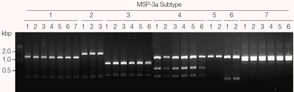 kjp-55-2-159f4.gif