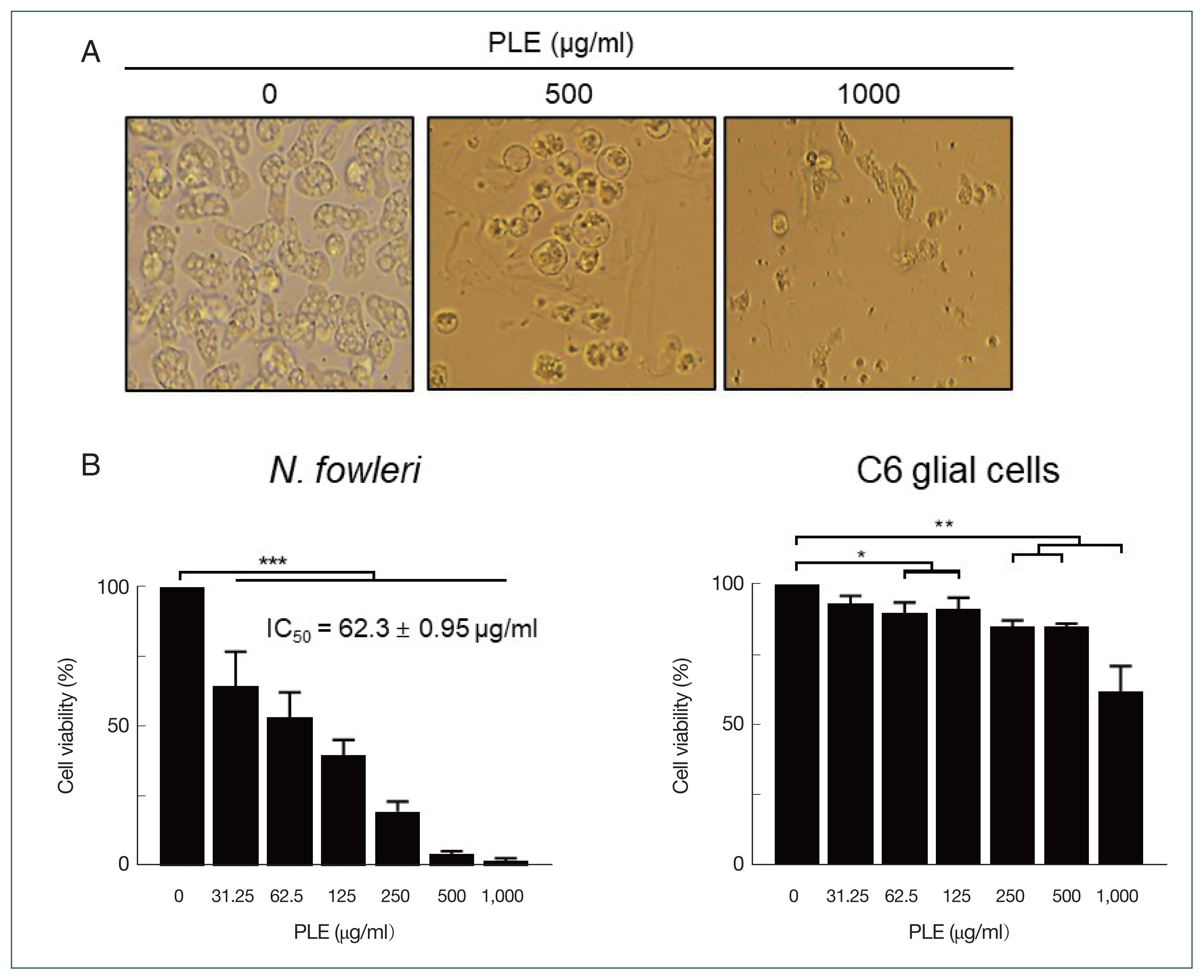 phd-23103f1.jpg