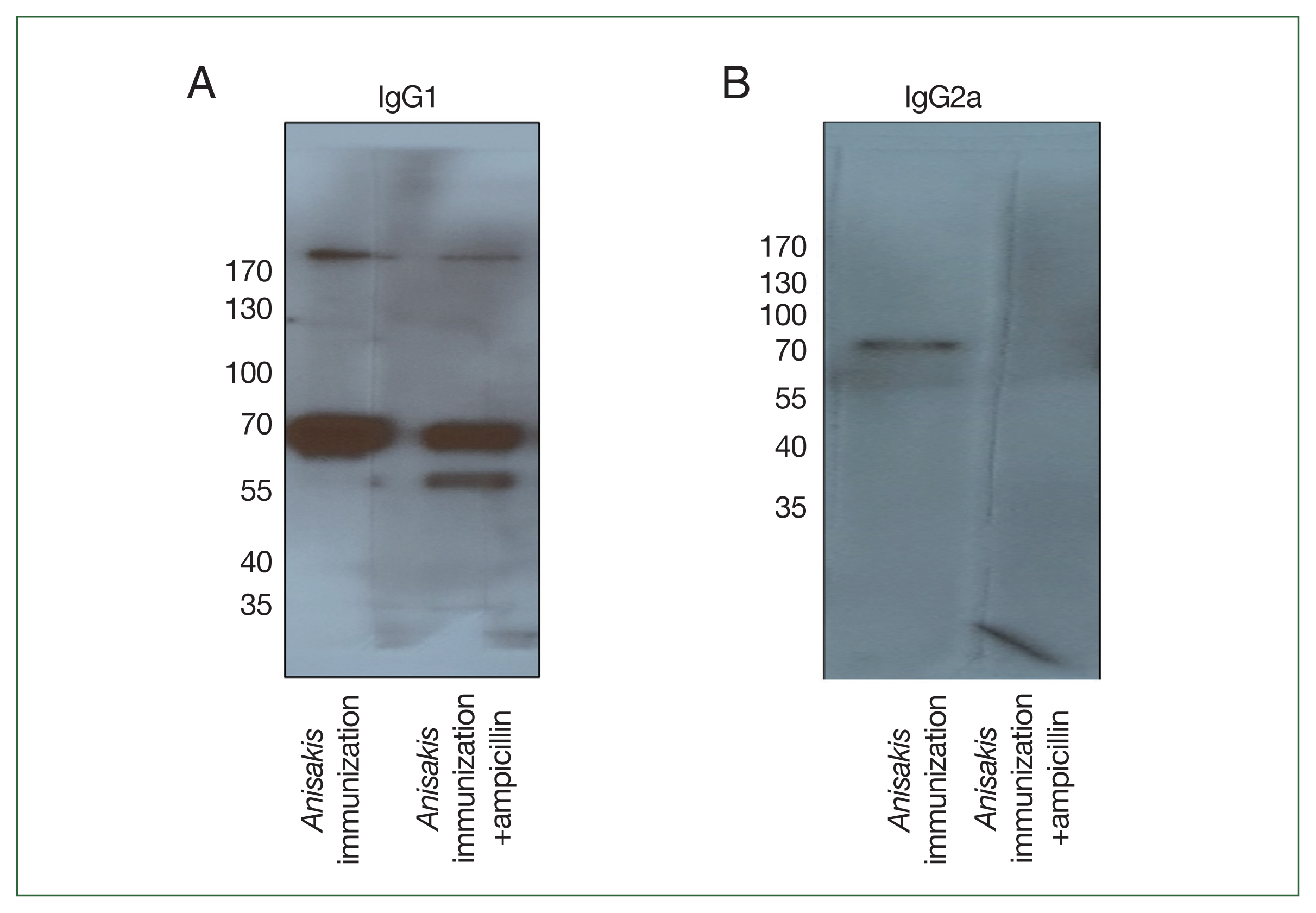 phd-23114f4.jpg