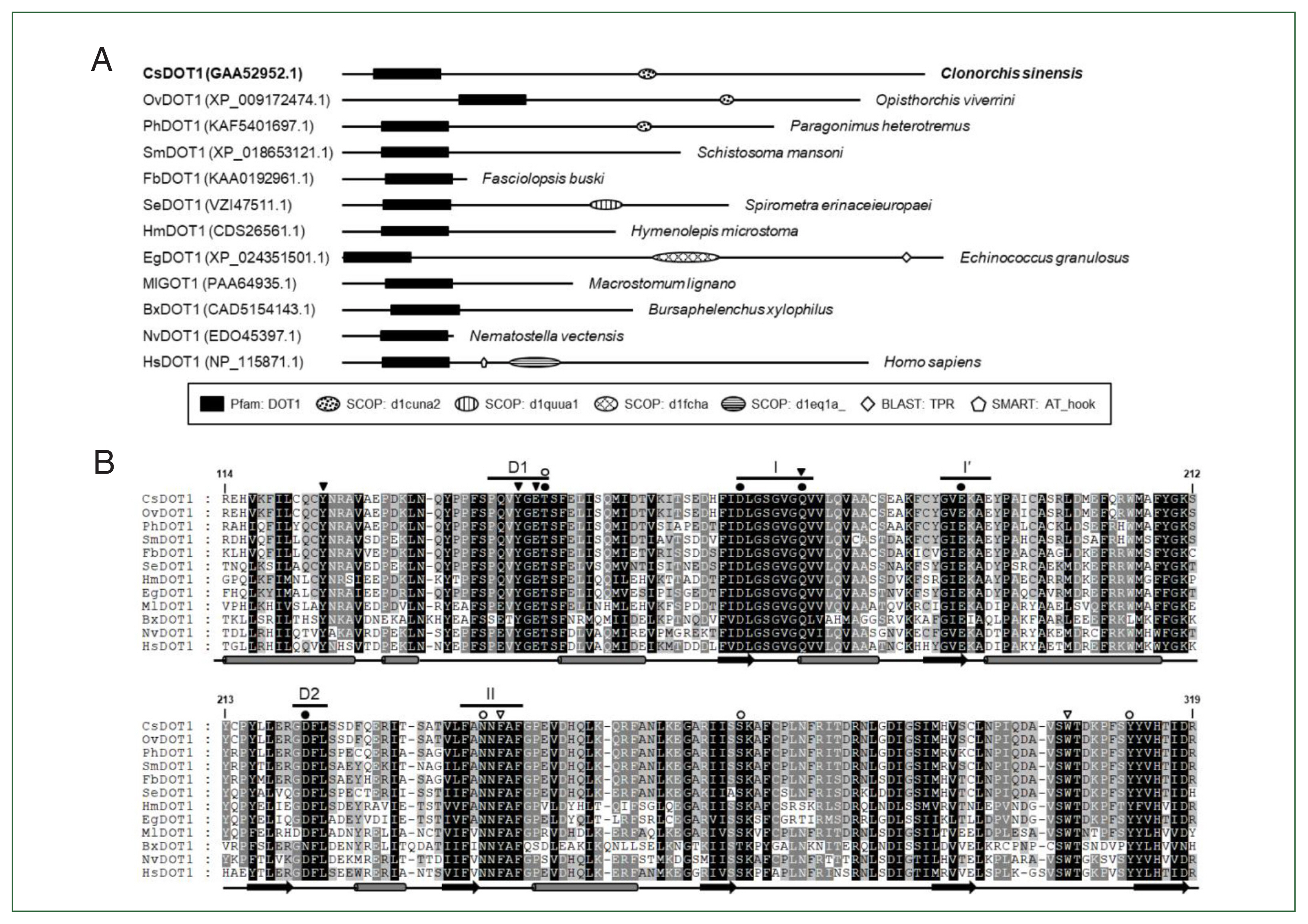 phd-23116f3.jpg