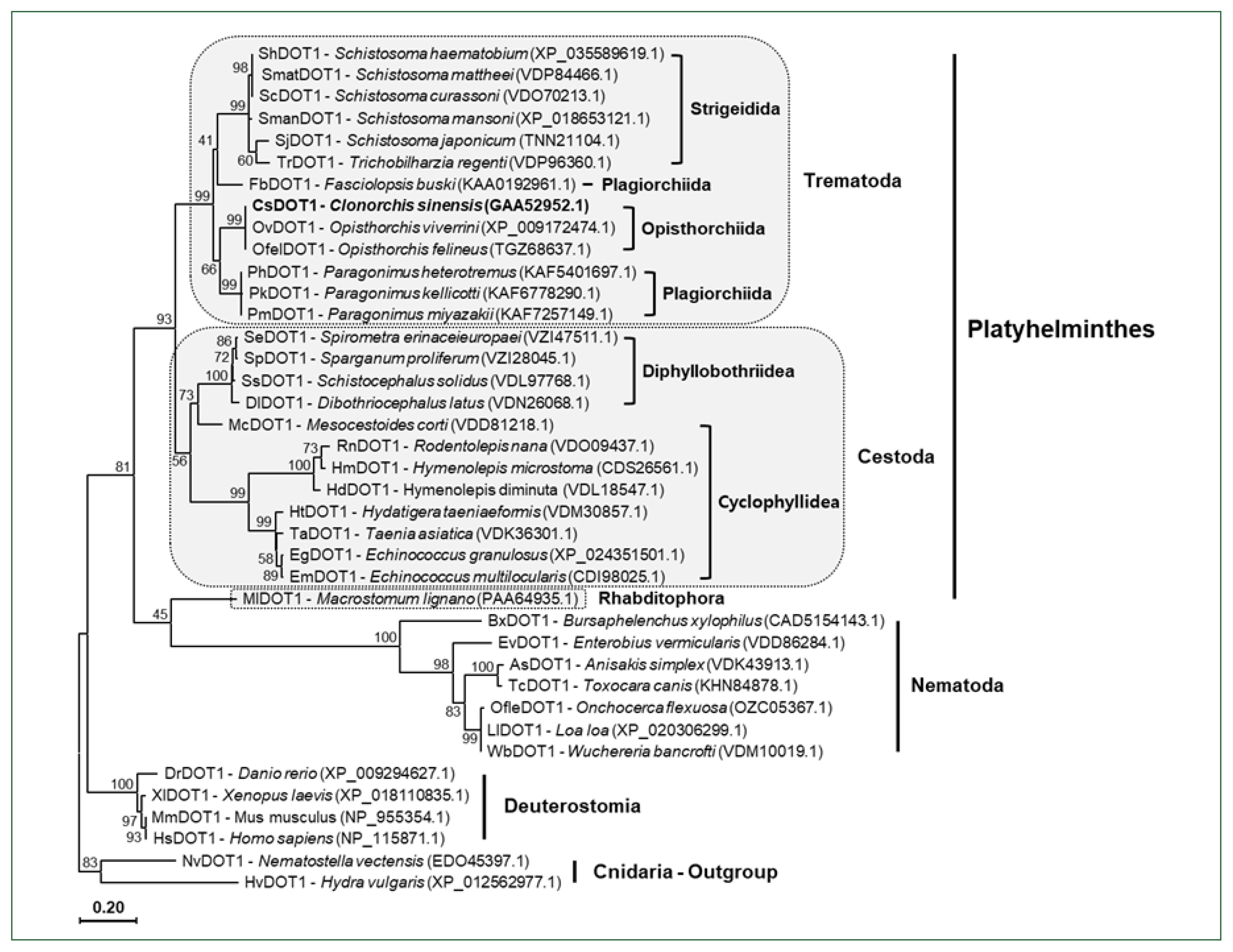 phd-23116f4.jpg