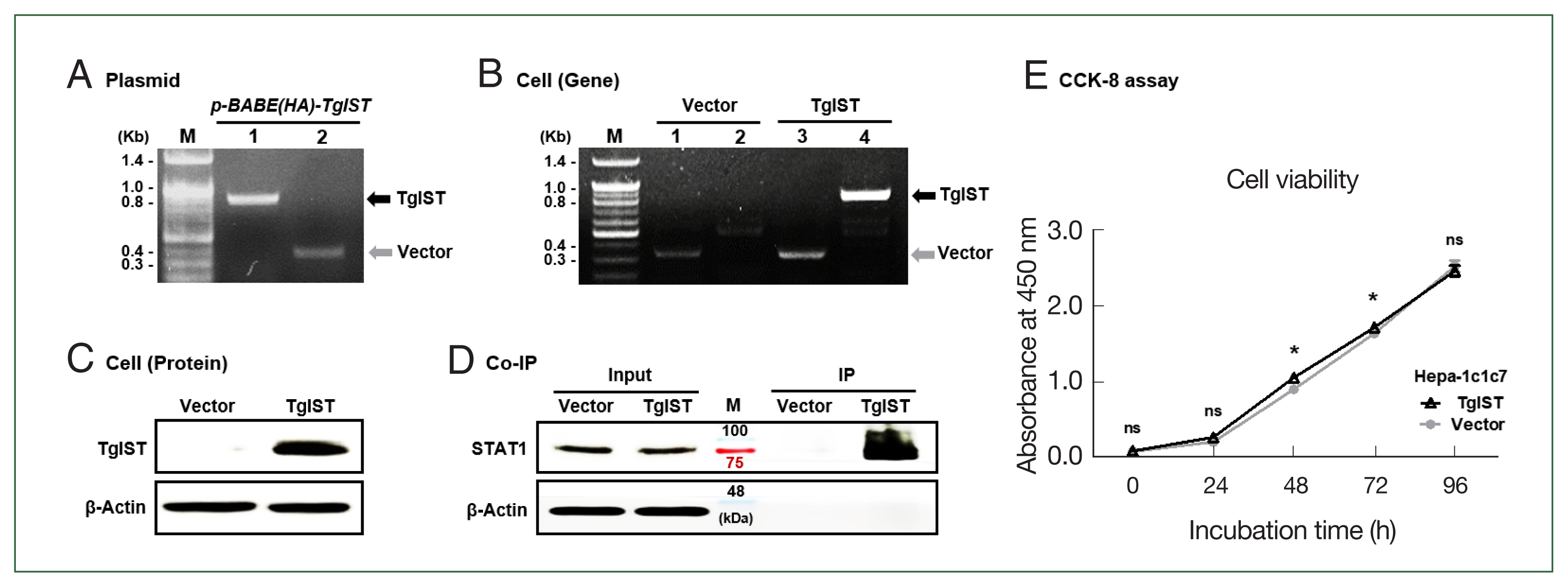 phd-23129f1.jpg