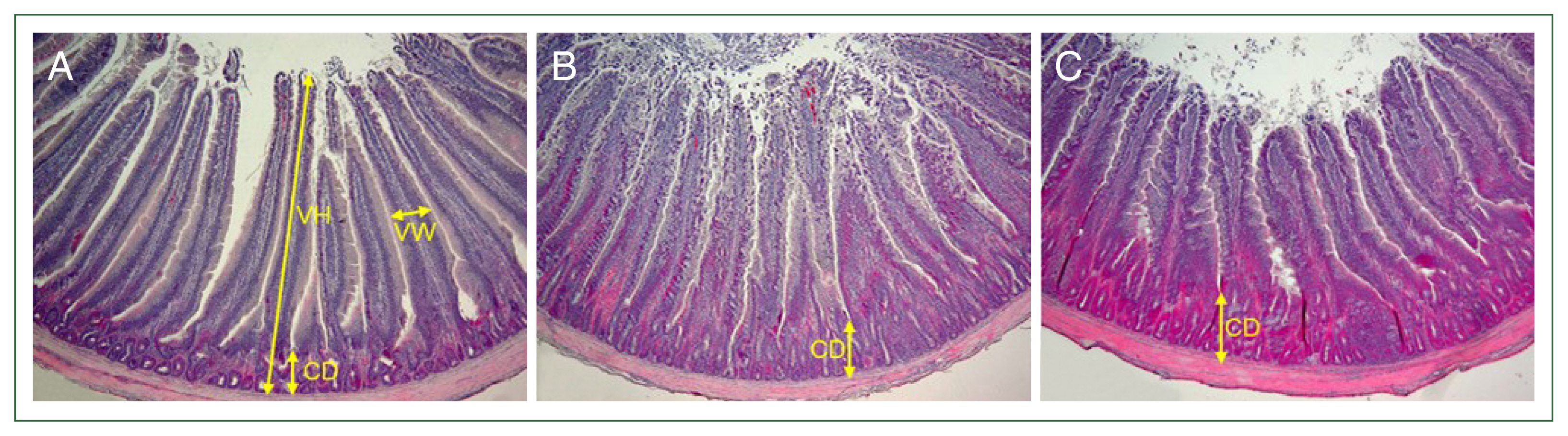phd-24045f1.jpg