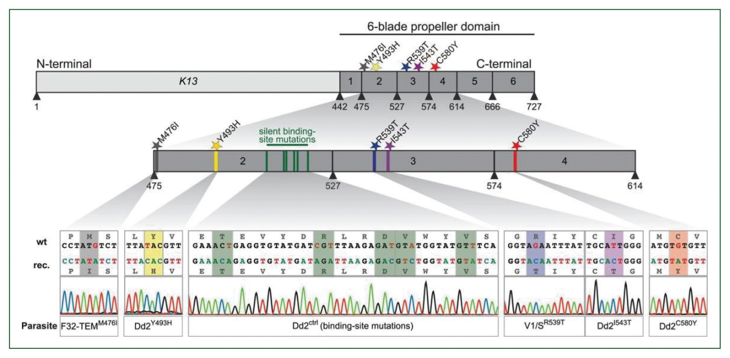 phd-24053f3.gif