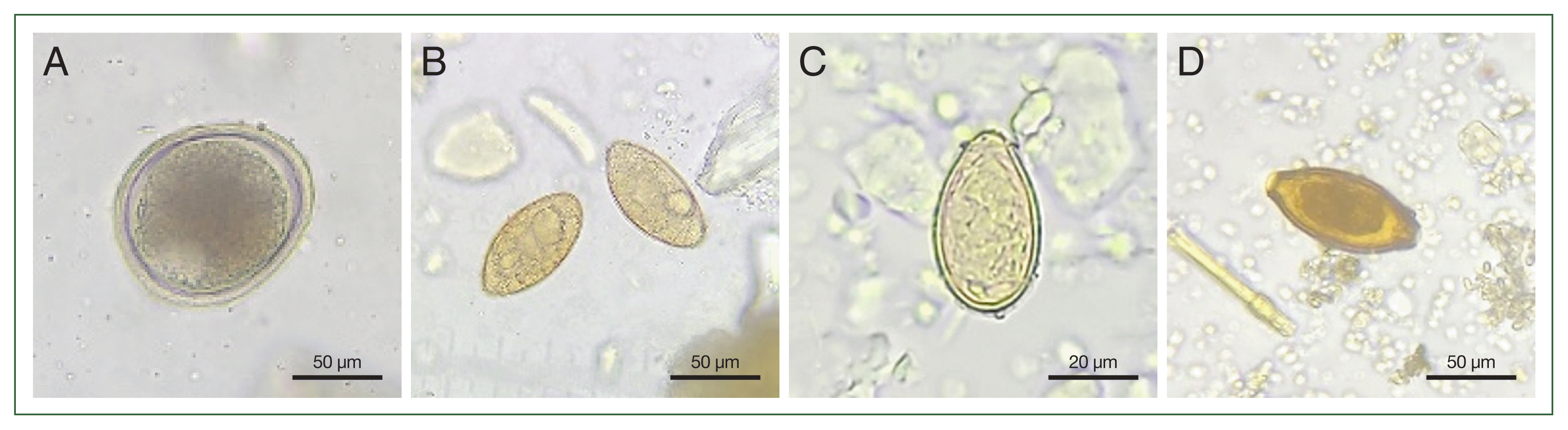 phd-24061f1.gif